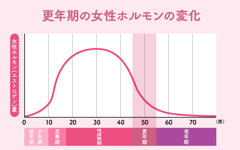 エストロゲン(女性ホルモン)の状態遷移図